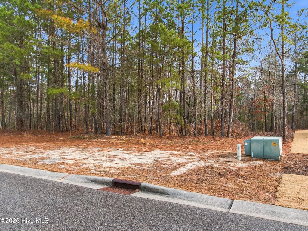 Photo of 3772 Silver Melon Road NE, Leland, NC 28451 (MLS # 100551490)
