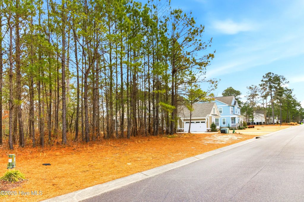 Photo of 3772 Silver Melon Road NE, Leland, NC 28451 (MLS # 100551490)