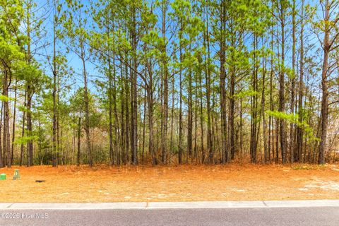 Tiny photo for 3772 Silver Melon Road NE, Leland, NC 28451 (MLS # 100551490)