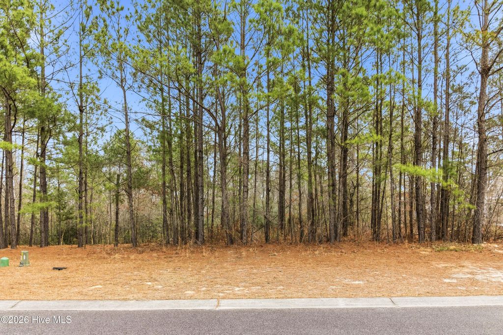 Photo of 3772 Silver Melon Road NE, Leland, NC 28451 (MLS # 100551490)