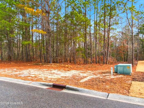 Tiny photo for 3772 Silver Melon Road NE, Leland, NC 28451 (MLS # 100551490)
