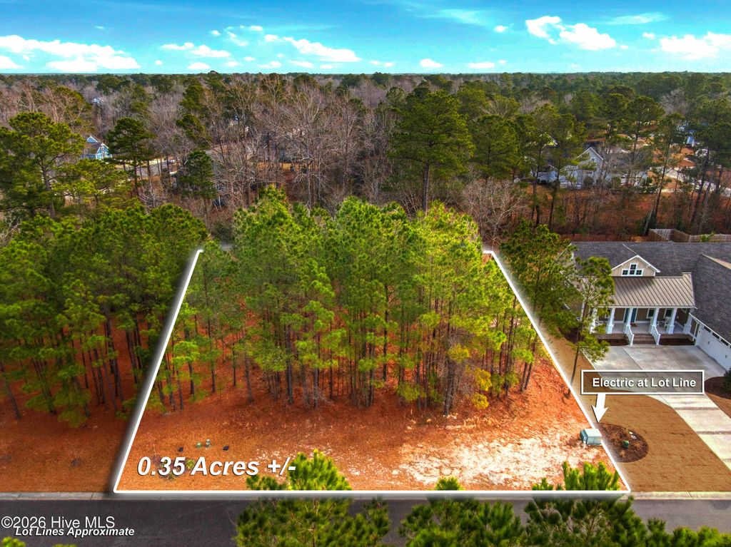 Photo of 3772 Silver Melon Road NE, Leland, NC 28451 (MLS # 100551490)