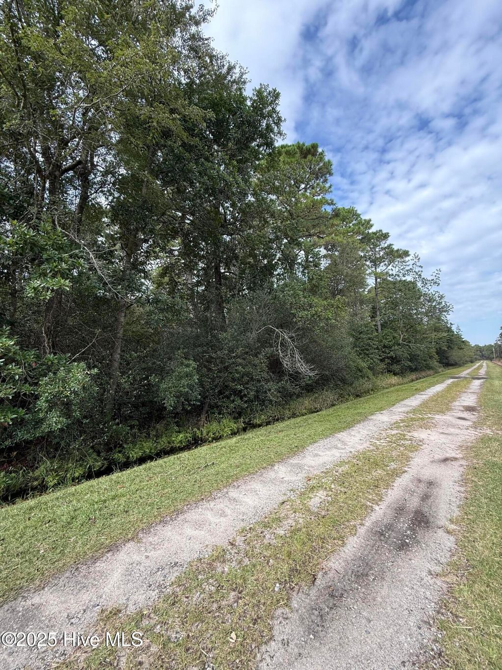 Photo of 49 Bluebird Road, Boiling Spring Lakes, NC 28461 (MLS # 100534647)