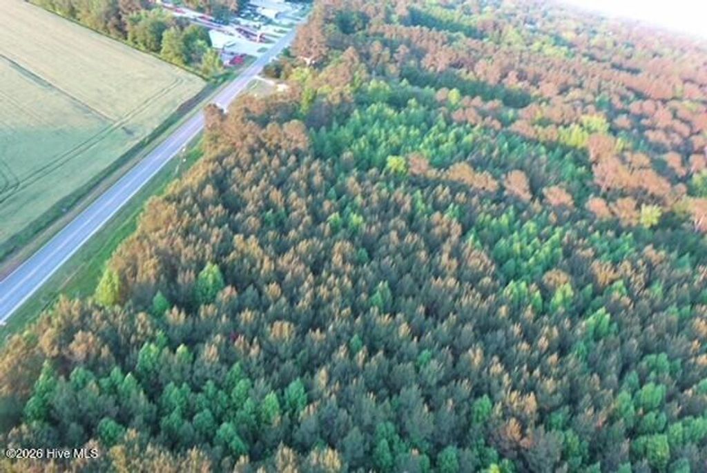 Photo of 53 Nc Hwy 53 Hwy, Burgaw, NC 28425 (MLS # 100569981)