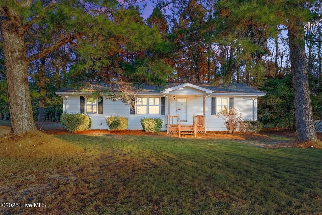 Photo of 4509 Stevens Chapel Road, Smithfield, NC 27577 (MLS # 100592113)