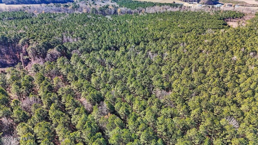 Photo of 0 U.S. 158 Business, Gatesville, NC 27938 (MLS # 100546500)