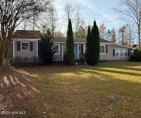 Photo of 120 Burkett Road, Dover, NC 28526 (MLS # 100545496)