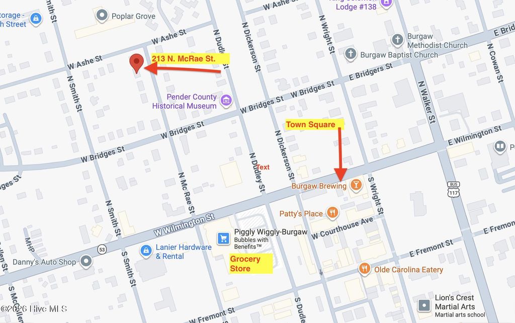 Photo of 213 N Mcrae Street, Burgaw, NC 28425 (MLS # 100561103)