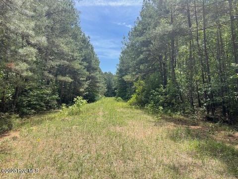 Vacant Land For Sale - 62 Live Oak Drive<br/> Bladen County, Elizabethtown, NC 28337