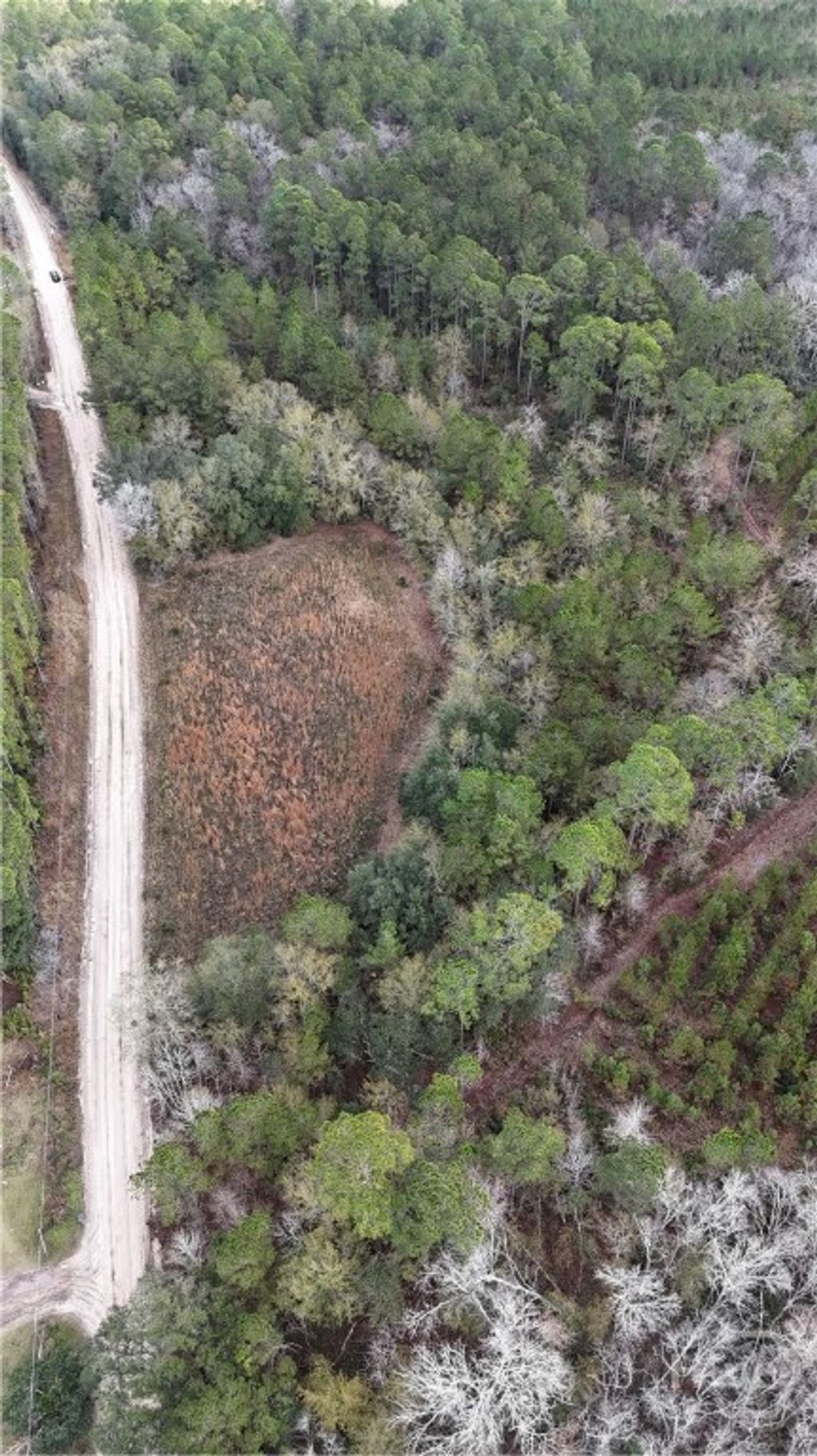 Photo of 0 Mt Hope Road #Lot 5B, Guyton, GA 31312 (MLS # SA345055)