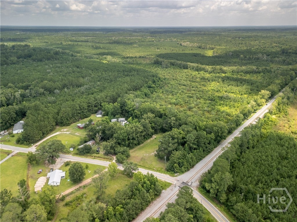 Photo of 615 Pate Rogers Road, Fleming, GA 31309 (MLS # SA359264)