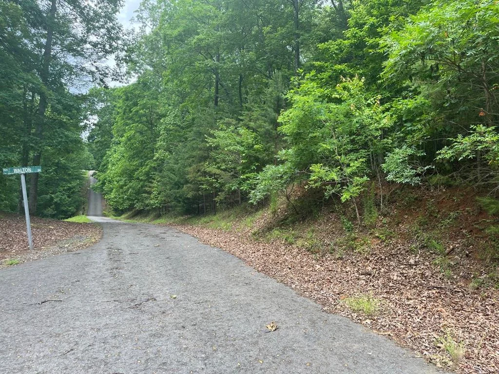 lot 63 Cirrus Drive