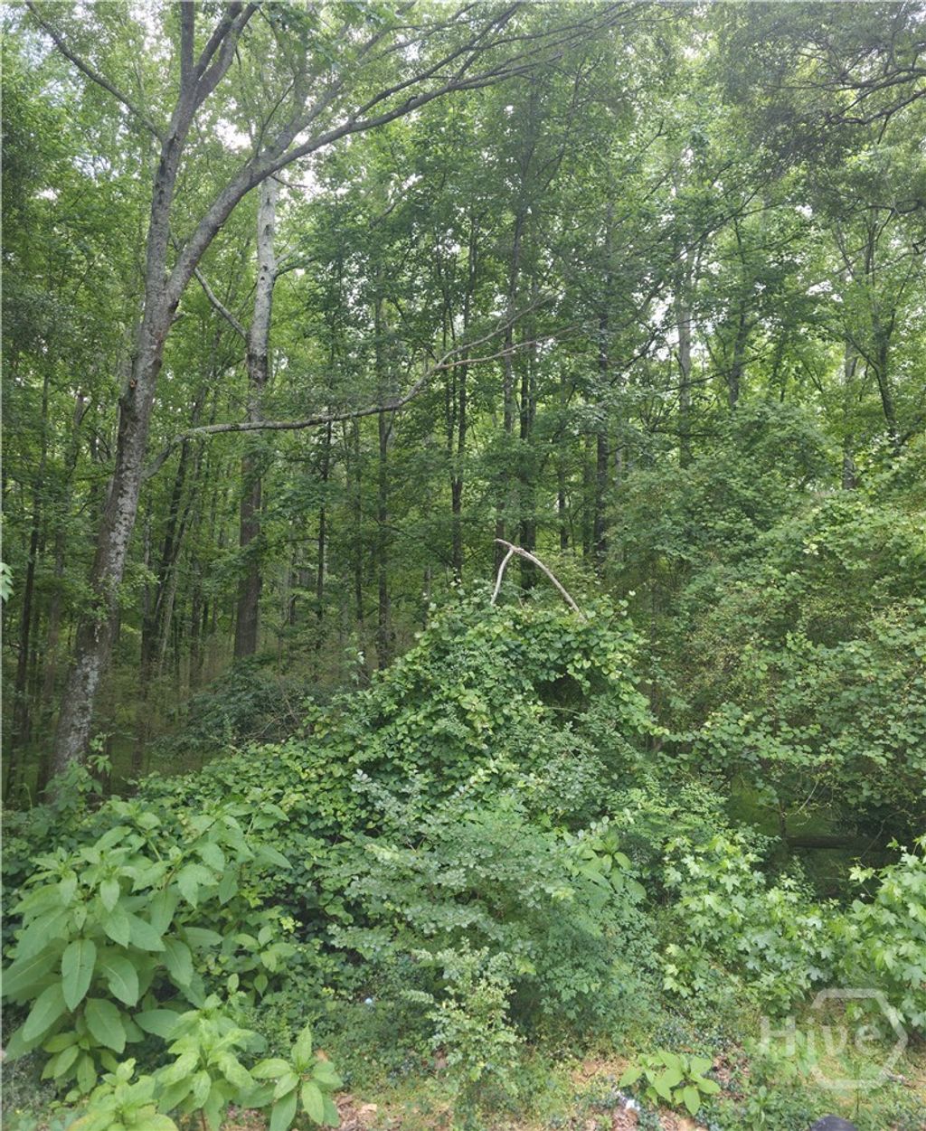Photo of 270 Cora Lou Lane, Winder, GA 30680 (MLS # CL356593)