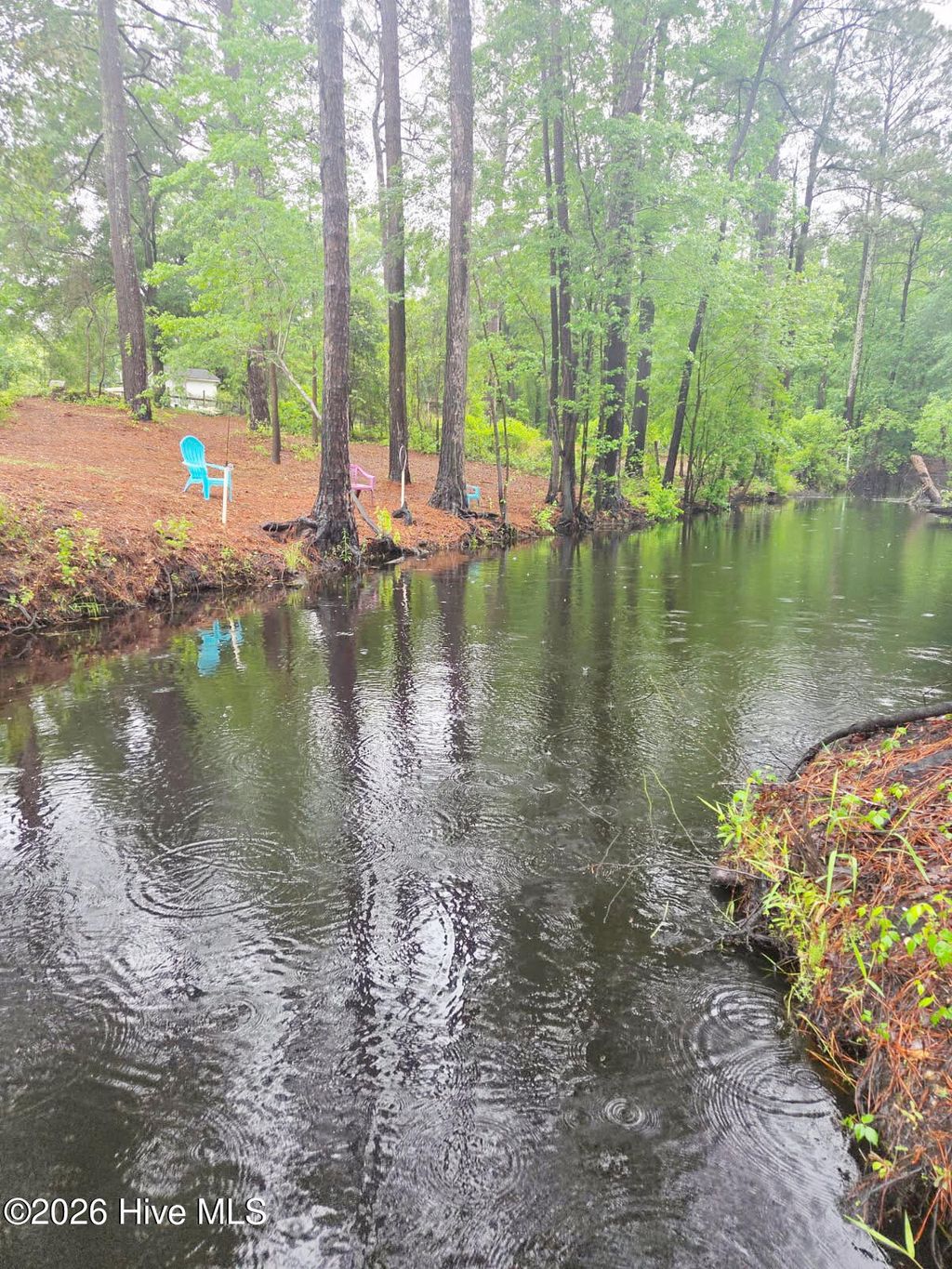 Photo of 46 Juniper Lane, Currie, NC 28435 (MLS # 100569242)
