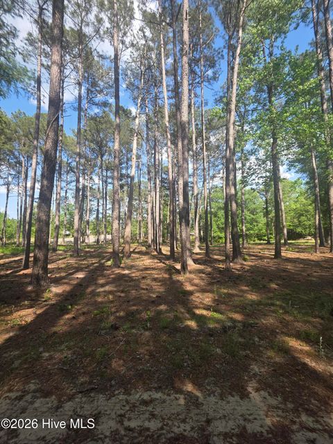 Photo of 46 Juniper Lane, Currie, NC 28435 (MLS # 100569242)