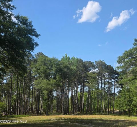 Tiny photo for 46 Juniper Lane, Currie, NC 28435 (MLS # 100569242)