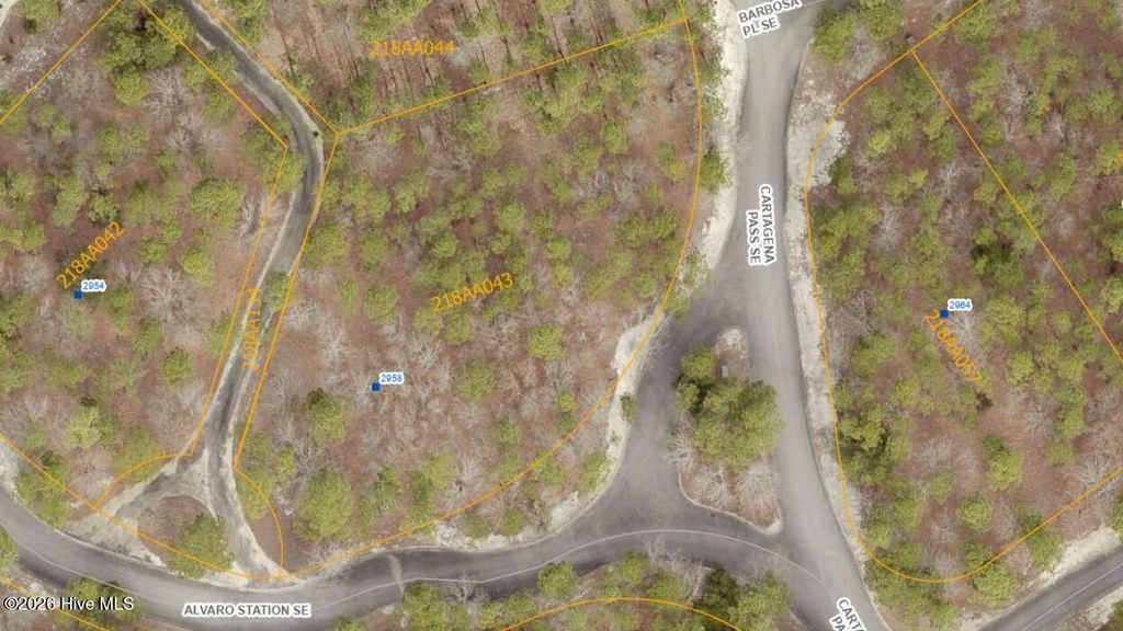 Photo of 2958 Alvaro Station SE, Bolivia, NC 28422 (MLS # 100572076)