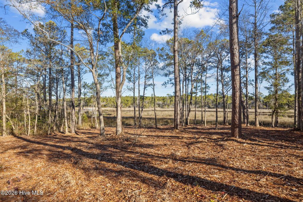 Photo of 180 Henderson Drive, Newport, NC 28570 (MLS # 100550108)