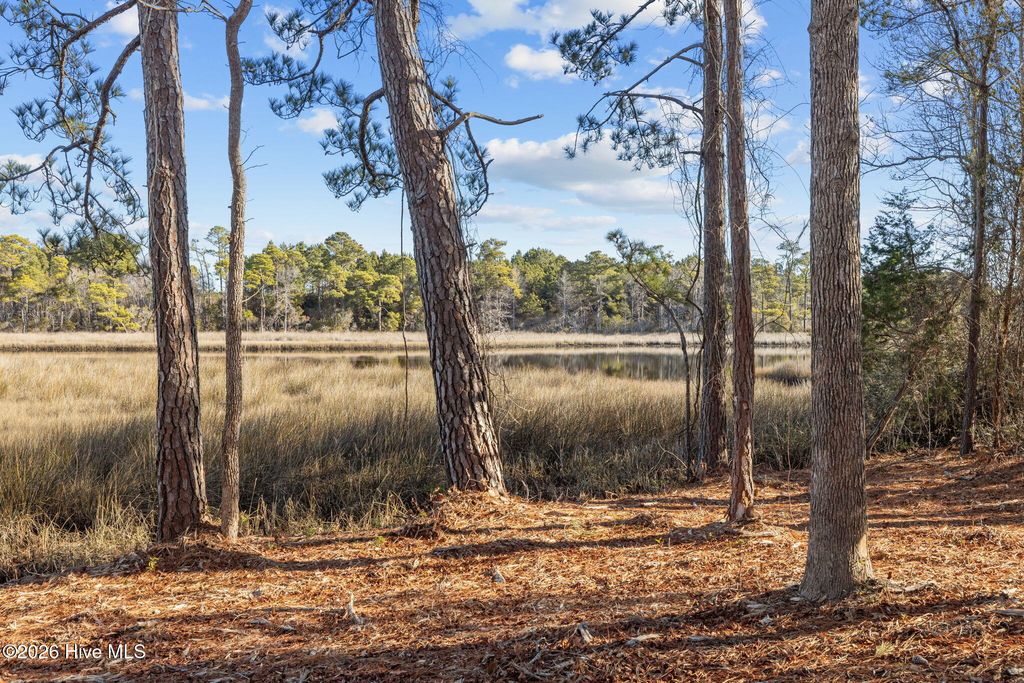 Photo of 180 Henderson Drive, Newport, NC 28570 (MLS # 100550108)