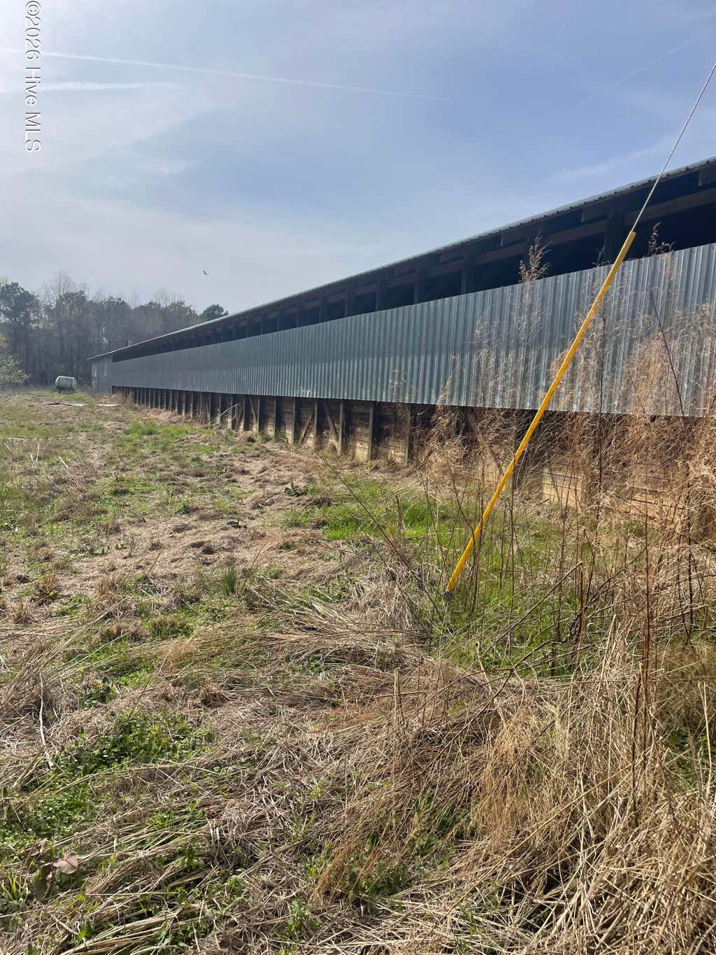 Photo of 5650 Old 125 Road, Scotland Neck, NC 27874 (MLS # 100592804)