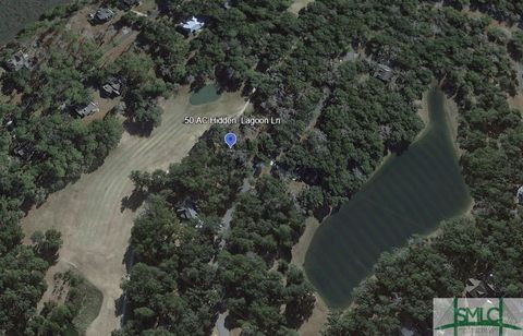 Vacant Land For Sale - .50 AC Hidden Lagoon Lane<br/> Mcintosh County, Townsend, GA 31331