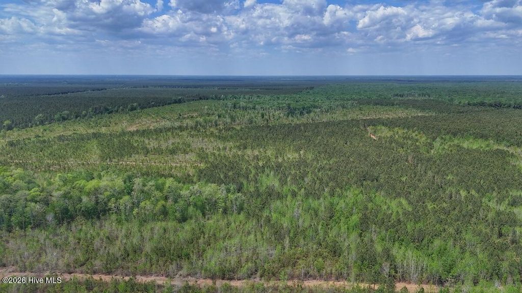 Photo of 0 Guinea Mill Road, Ernul, NC 28527 (MLS # 100568841)