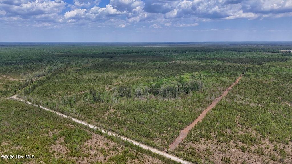 Photo of 0 Guinea Mill Road, Ernul, NC 28527 (MLS # 100568841)