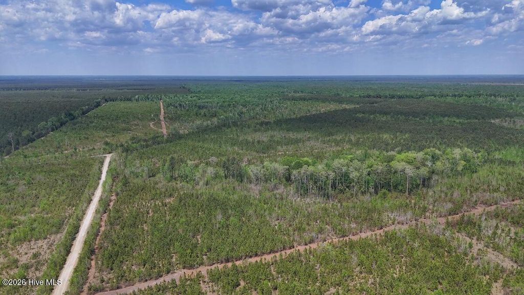 Photo of 0 Guinea Mill Road, Ernul, NC 28527 (MLS # 100568841)