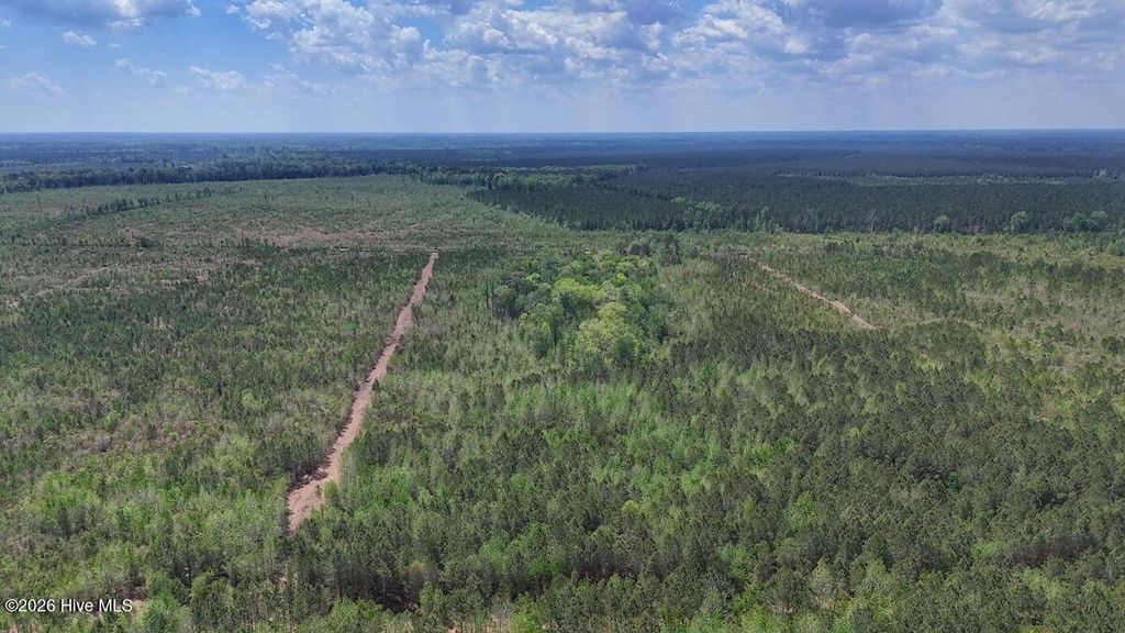 Photo of 0 Guinea Mill Road, Ernul, NC 28527 (MLS # 100568841)