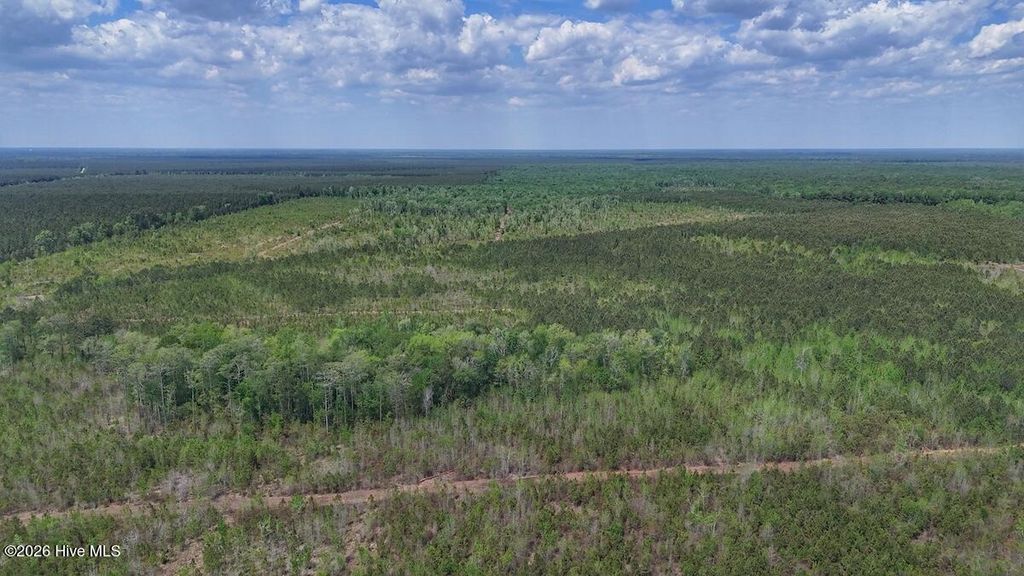 Photo of 0 Guinea Mill Road, Ernul, NC 28527 (MLS # 100568841)