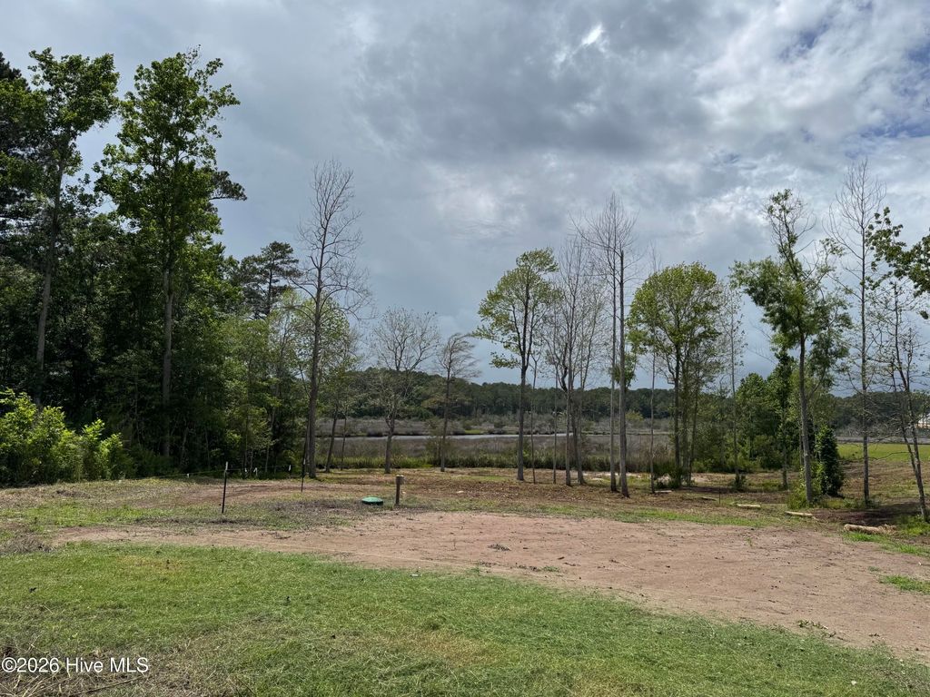 Photo of 145 Misty Hollow Lane, Sneads Ferry, NC 28460 (MLS # 100576484)