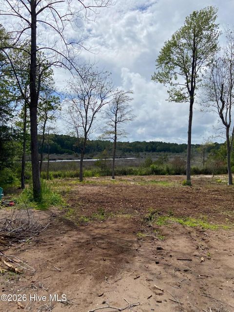 Tiny photo for 145 Misty Hollow Lane, Sneads Ferry, NC 28460 (MLS # 100576484)