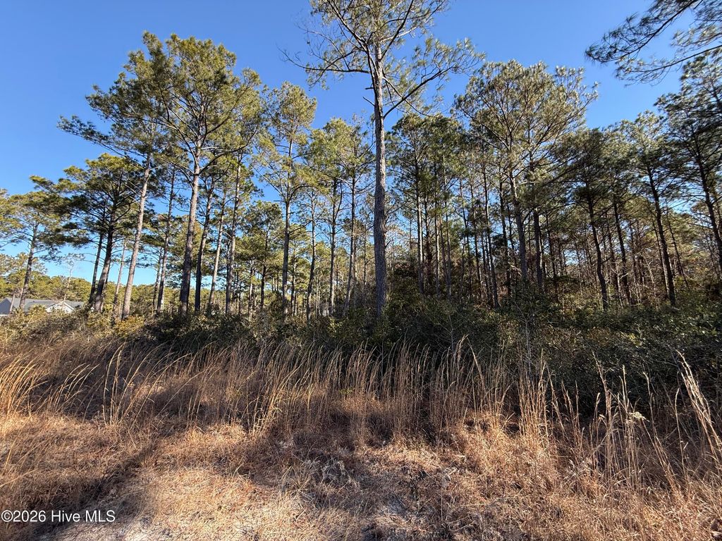 Photo of 306 Livingston Court, Holly Ridge, NC 28445 (MLS # 100554064)