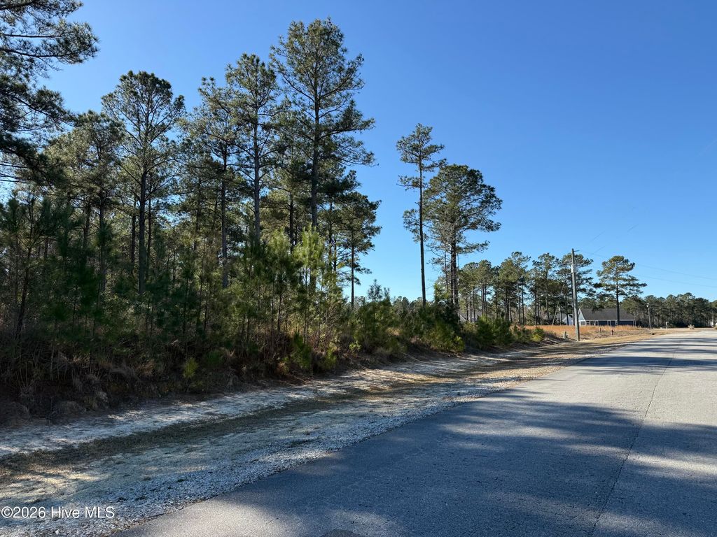 Photo of 306 Livingston Court, Holly Ridge, NC 28445 (MLS # 100554064)