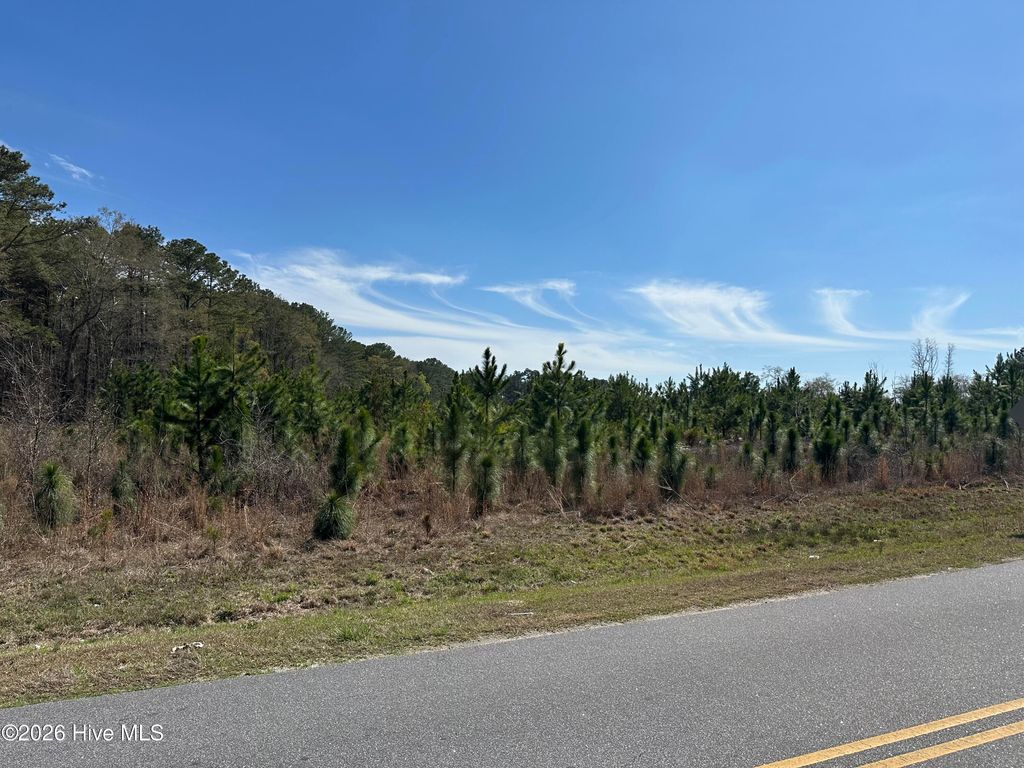 Photo of Tbd Old Wire Road, Laurel Hill, NC 28351 (MLS # 100561398)