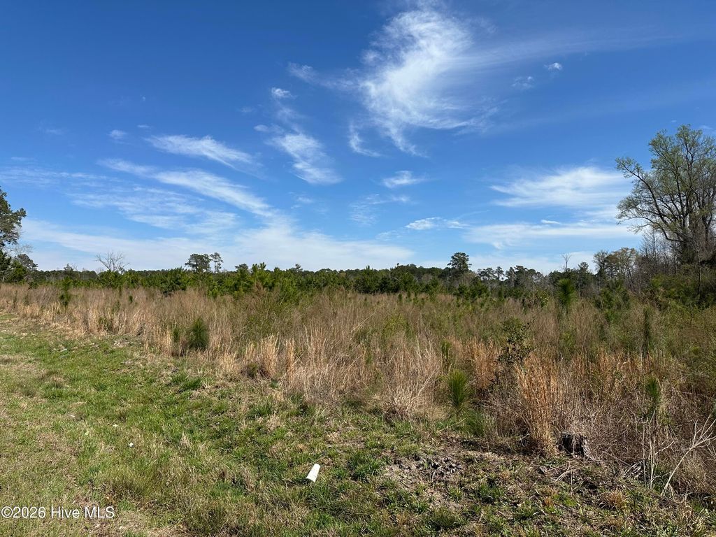 Photo of Tbd Old Wire Road, Laurel Hill, NC 28351 (MLS # 100561398)