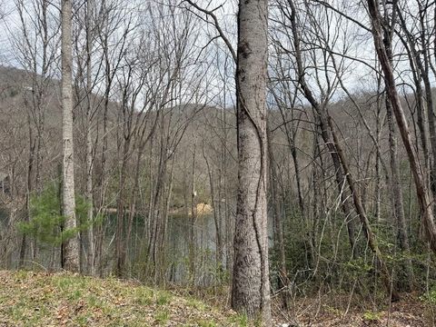 Vacant Land For Sale - #20 Rainwater Point / Indian Lake Road<br/> Macon County, Topton, NC 28781