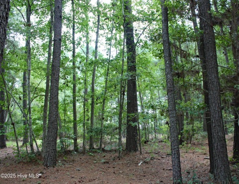 Tiny photo for 6780 Hanbury Place SW, Ocean Isle Beach, NC 28469 (MLS # 100592690)