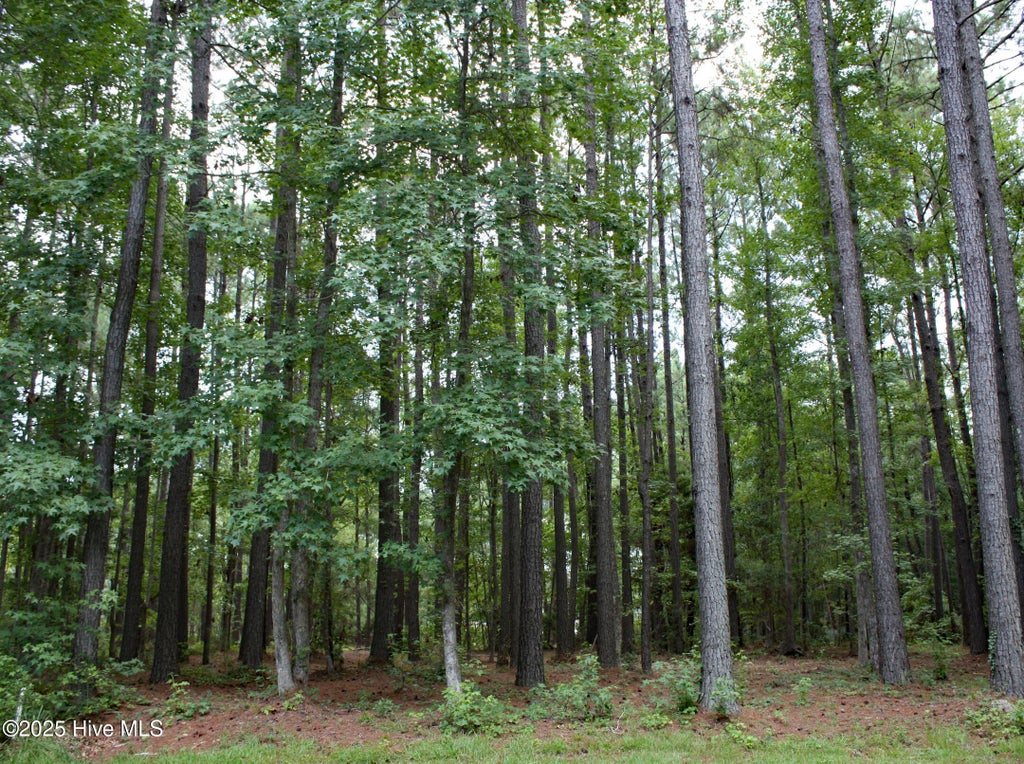 Photo of 6780 Hanbury Place SW, Ocean Isle Beach, NC 28469 (MLS # 100592690)