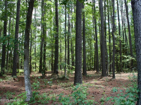 Tiny photo for 6780 Hanbury Place SW, Ocean Isle Beach, NC 28469 (MLS # 100592690)
