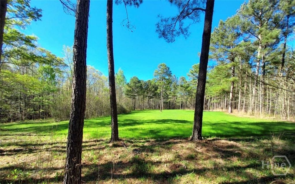 Photo of 2285 Cherokee Road Rd, Comer, GA 30629 (MLS # CL347476)