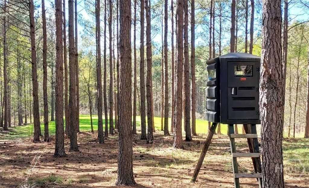 Photo of 2285 Cherokee Road Rd, Comer, GA 30629 (MLS # CL347476)