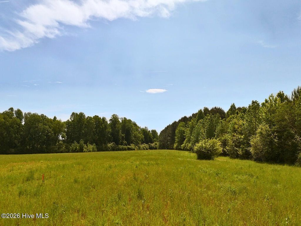 Photo of 0 Old Chinquapin Road, Beulaville, NC 28518 (MLS # 100571815)