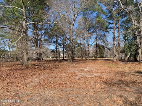 Vacant Land For Sale - 130 October Glory Drive<br/> Wallace, NC 28466