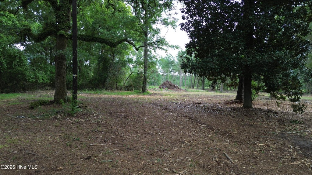 Photo of 1 Elmore, Laurinburg, NC 28352 (MLS # 100599981)