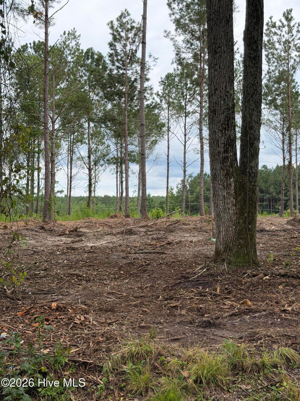 Photo of 1 Elmore, Laurinburg, NC 28352 (MLS # 100599981)