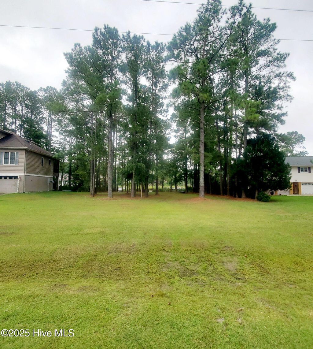 Photo of 5630 Gondolier Drive, New Bern, NC 28560 (MLS # 100551225)