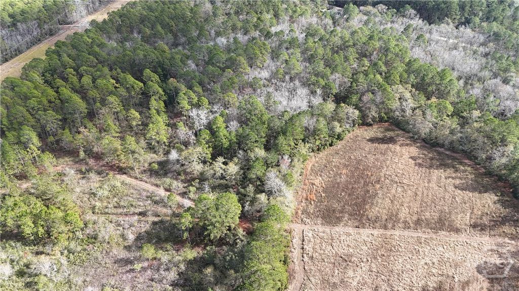 Photo of 0 Mt Hope Road #Lot 5A, Guyton, GA 31312 (MLS # SA345054)