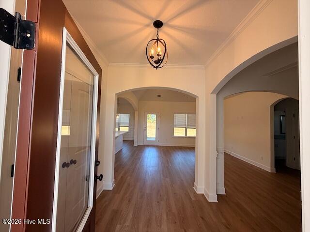 459 Basalt Court