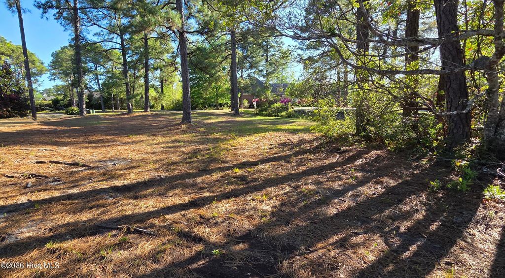 Photo of 2910 Moorings Way SE, Southport, NC 28461 (MLS # 100566428)